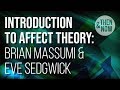 Introduction to Affect Theory: Brian Massumi & Eve Sedgwick