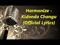 New from Harmonize   Kidonda changu Official Lyrics Video