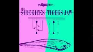 Watch Sidekicks Little James video