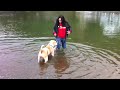 Chevy Learns To Swim