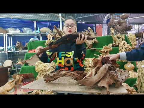 5/3 GỖ LŨA @PHONG LAN RỪNG @Gỗ lũa Lạng Sơn Vườn Lan Quốc Khánh fb Trần Huệ Anh 0983.185.998