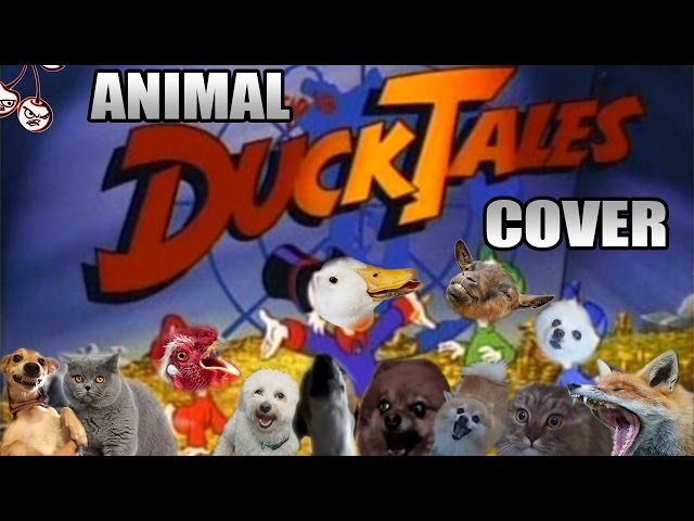 This Animal Coverband Gives The Ducktales Theme Song Their Best Shot - Video