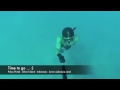 image Free Diving Pulau Perak In Pulau Seribu Silver Island Thousand Islands Indonesia