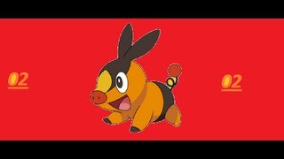 rencontre pokemon noir