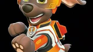Paw Patrol Jet To The Rescue Tribute