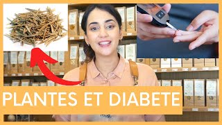 Réguler Sa Glycémie Les Plantes Pour Les Diabétiques, Résistance À Linsuline, ....