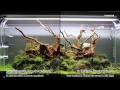 Twinstar Nano - Aquarium with Twinstar vs without Twinstar