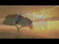 Beautiful Piano Music: Relaxing Music, Romantic Music, Sleep Music, Study Music ★132