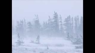 Watch Tori Amos BlackDove January video