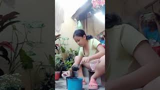 Pag May Itinanim My Aanihin
