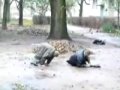 Два парня пытаются дойти до 