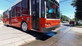 Colectivo Escolar Tatsa Puma D12 Ex Línea 105.