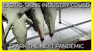 The Exotic-Skins Industry Could Spark the Next Pandemic