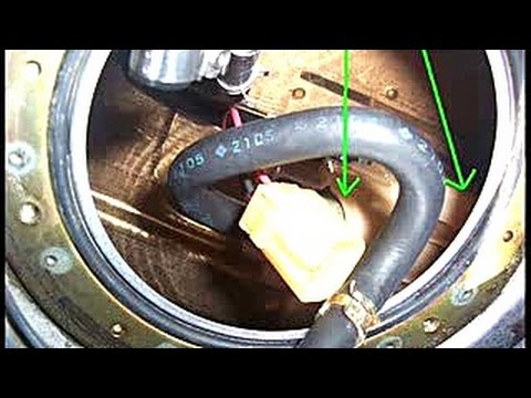 La amortización de la gasolina del recuento de la organización