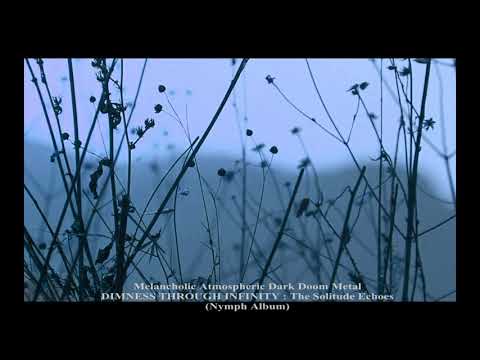 The Solitude Echoes Video