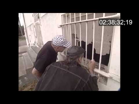 Mather Arrest
