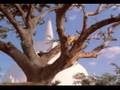 Download Dewram Wehere MP3 song and Music Video