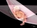 Watch baby portraits in boulder colorado.mov Video