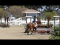 Chester Copperpot small pony handy Ranch & Coast May 2014