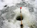 Видео Как правильно ловить корюшку (19.02.2012) Финский залив