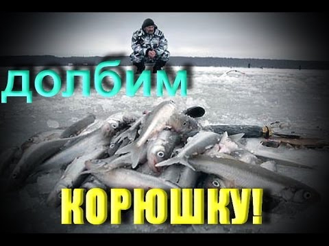 Как правильно ловить корюшку (19.02.2012) Финский залив
