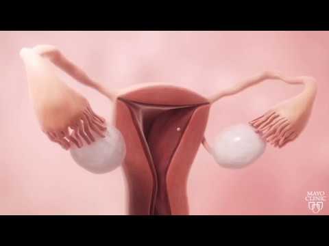 Supposed To Be Video