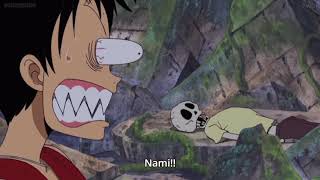 Luffy Mistaken The Skeleton As Nami One Piece