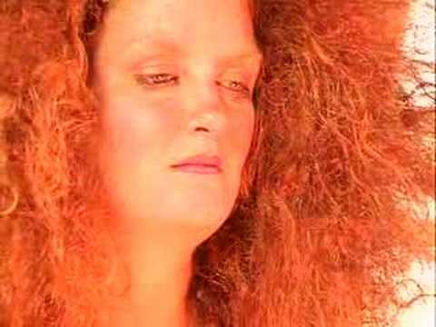 Weight of the World Video