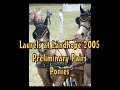Laurels 2005 Preliminary Pony Pairs