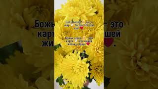 Открой Душу Для Божьей Мудрости Путь К Вечной Истине