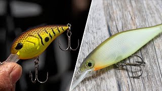 Crankbait Vs Jerkbait Differences And Comparison