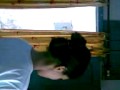 Dabwali Kand images Dabwali Kand