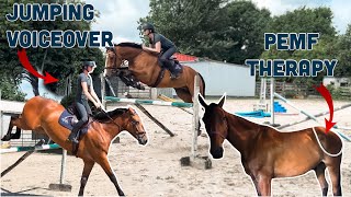 MY NO. 1 JUMPING EXERCISE + PEMF THERAPY FOR HORSES WITH MAGNAWAVE