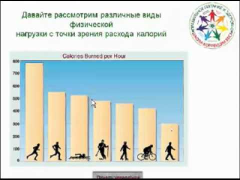 принцип правильного питания для похудения принцип правильного питания для похудения