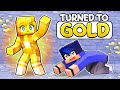 Aphmau TURNED TO GOLD in Minecraft!