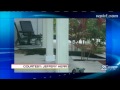 7-Foot Gator Caught In Boca Neighborhood