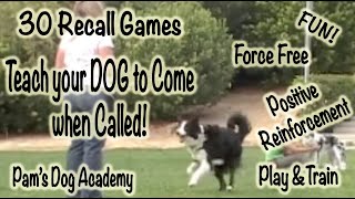30 Recall Games Positive Reinforcement Dog Training