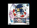 Sonic Adventure "Theme of E-102 (Gamma)" Music Request