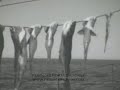 16mm Home Movies 1930s Brooklyn Bridge Boating Trip Fishing 3316