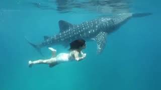 Katrina Kaif Swimming Tb To A Beautiful Day In The Ocean With My Most Incredible Friend