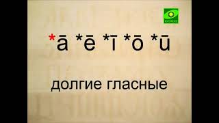 Лекция 044  Введение В Историческую Фонетику