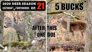 Thanksgiving Day Doe! Buck Bait on the Ground - 2020 Deer Season Ep 21