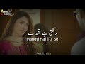 Yaariyan Ost - Pakistani Drama Ost - WhatsApp Status - Nabeel Shuakat Ali
