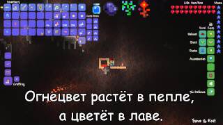 Ребенок упал ударился зубов Ребенок упал ударился зубов