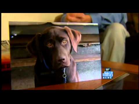 Complaints continue at Vancouver vet