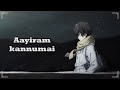 Aayiram Kannumai💕 | Malayalam LoFi💫| Vineeth Sreenivasan | Lyric Video