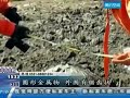 UFO Crash in China! News Footage