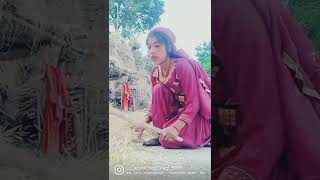 Phadi Vlogs