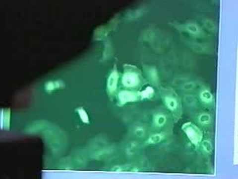 biology movement