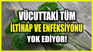 Günde 10 Yaprak Tüketerek 3 haftada Enfeksiyon ve İltihaptan Kurtulun!